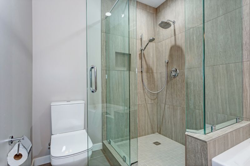 Shower Renovation Ideas